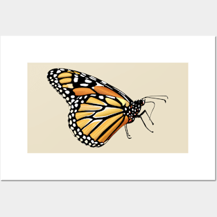 Monarch Butterfly Posters and Art